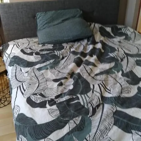 Location Au Calme Proche Circuit Des 24 *