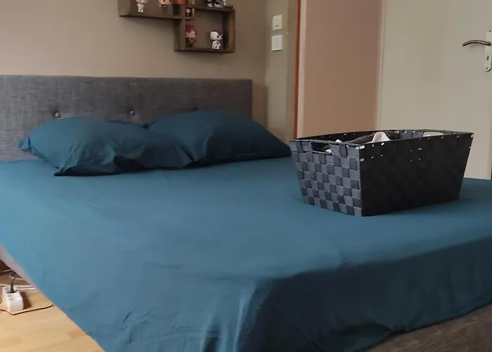 Location Au Calme Proche Circuit Des 24 Privat bolig